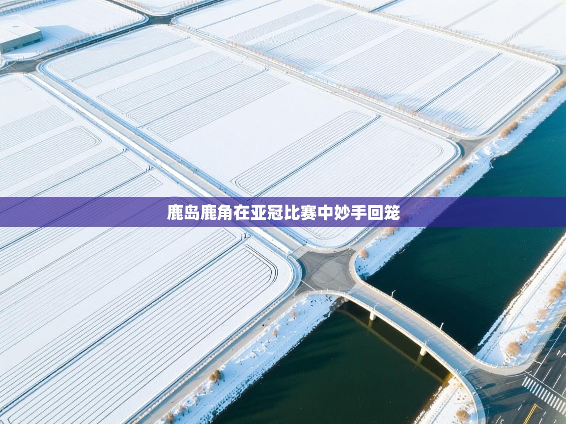 鹿岛鹿角在亚冠比赛中妙手回笼