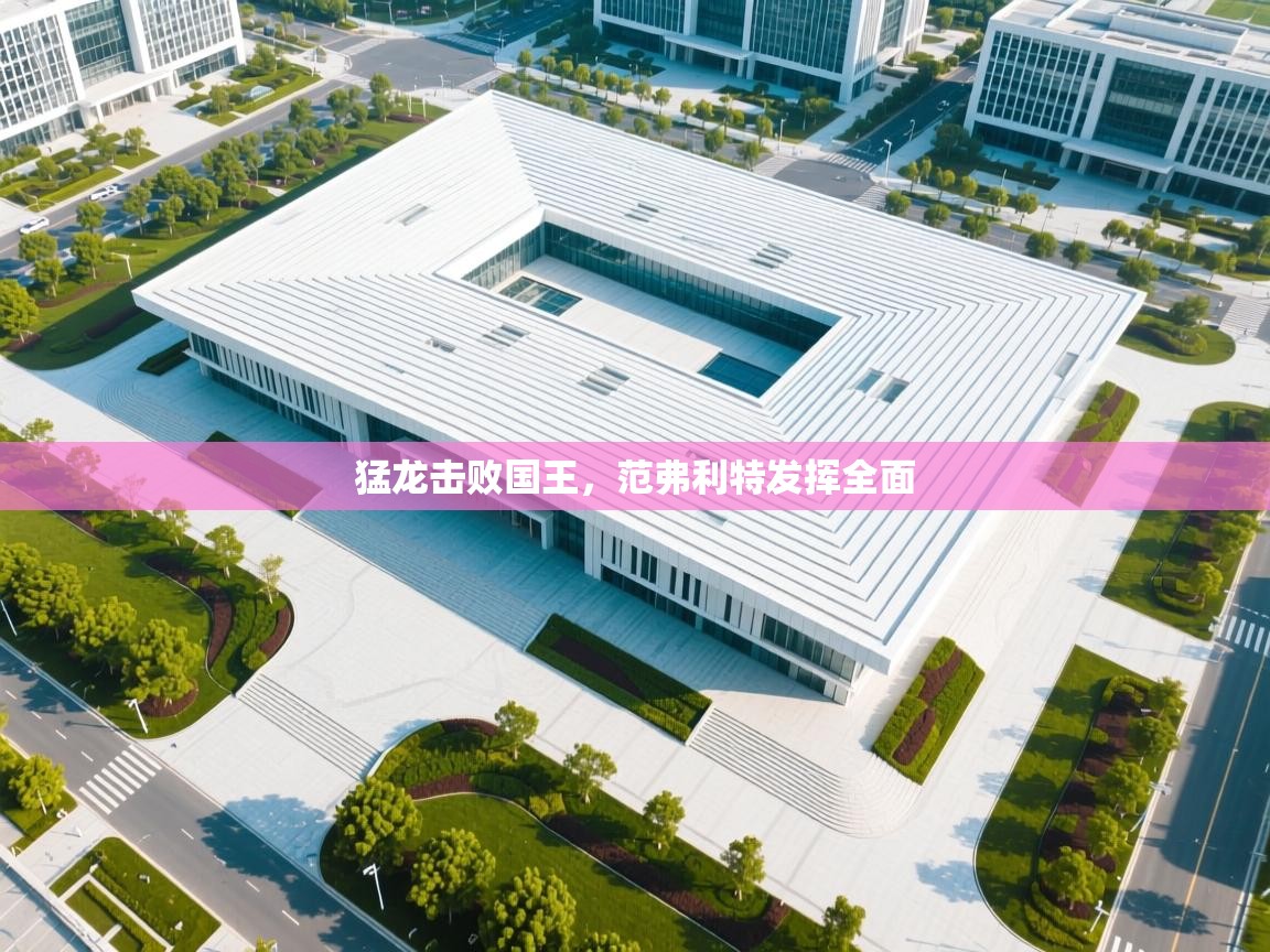 猛龙击败国王，范弗利特发挥全面