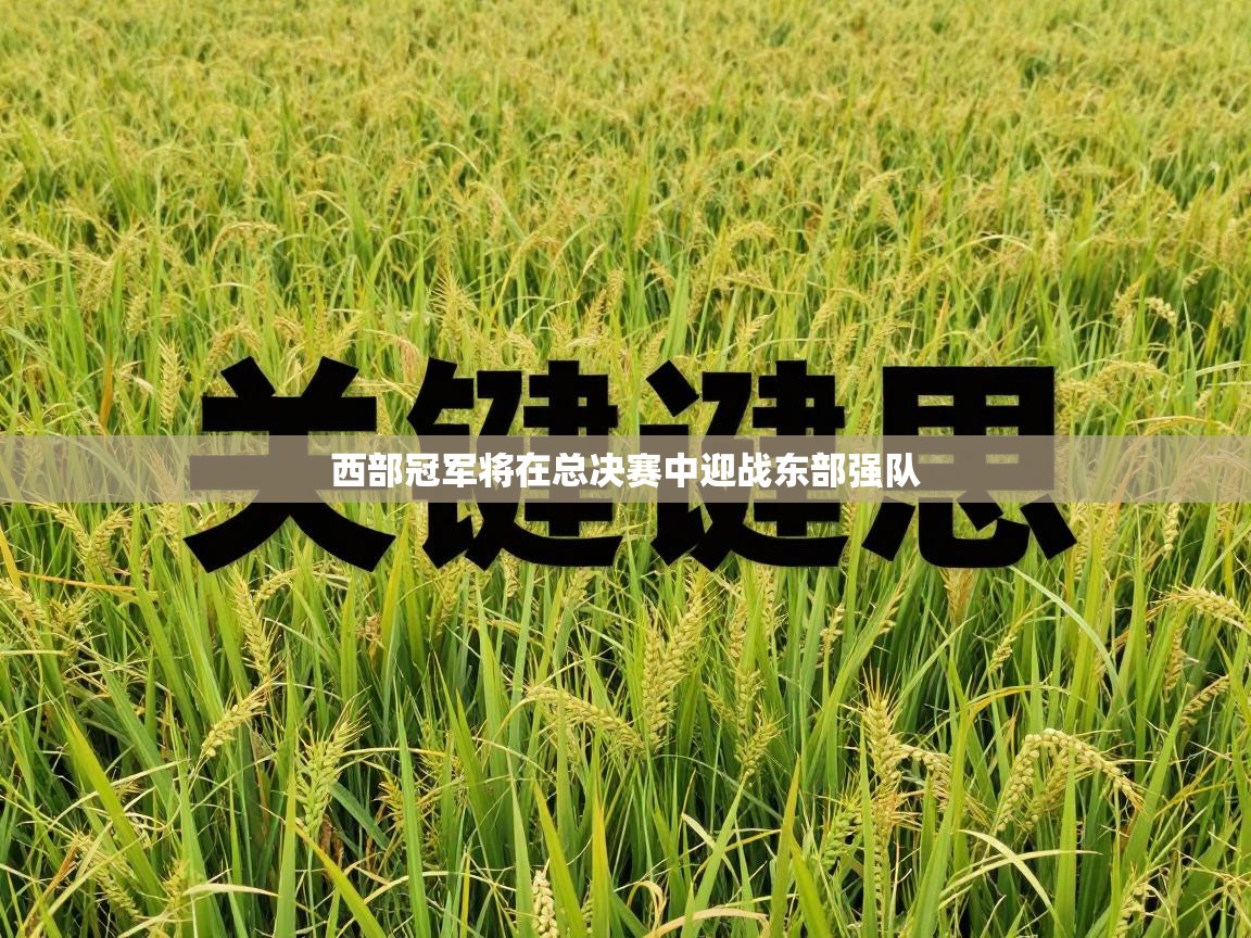 西部冠军将在总决赛中迎战东部强队