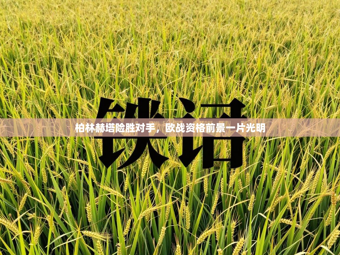 柏林赫塔险胜对手,欧战资格前景一片光明 第1张