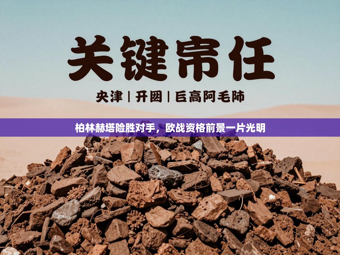 柏林赫塔险胜对手,欧战资格前景一片光明 第2张