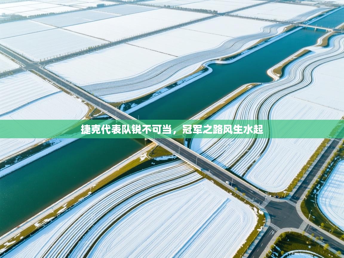 捷克代表队锐不可当，冠军之路风生水起