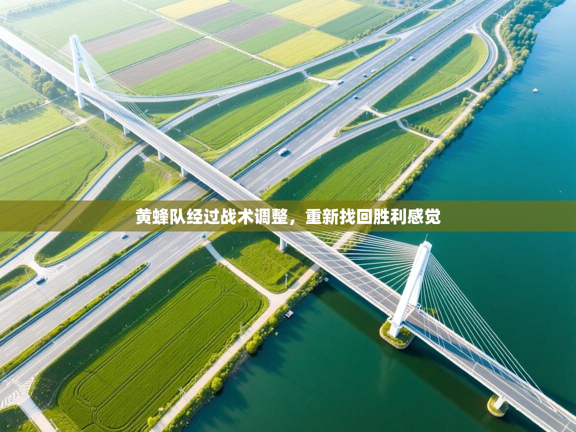 黄蜂队经过战术调整，重新找回胜利感觉  第2张