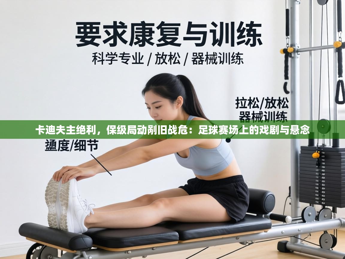 卡迪夫主绝利,保级局动剐旧战危:足球赛场上的戏剧与悬念 第2张